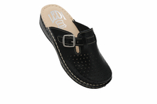 Anatomic clogs 631/10