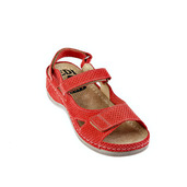 Anatomic clogs 435/20